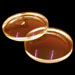 Laser Beam Expander Lens Set