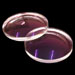 Laser Beam Expander Lens Set